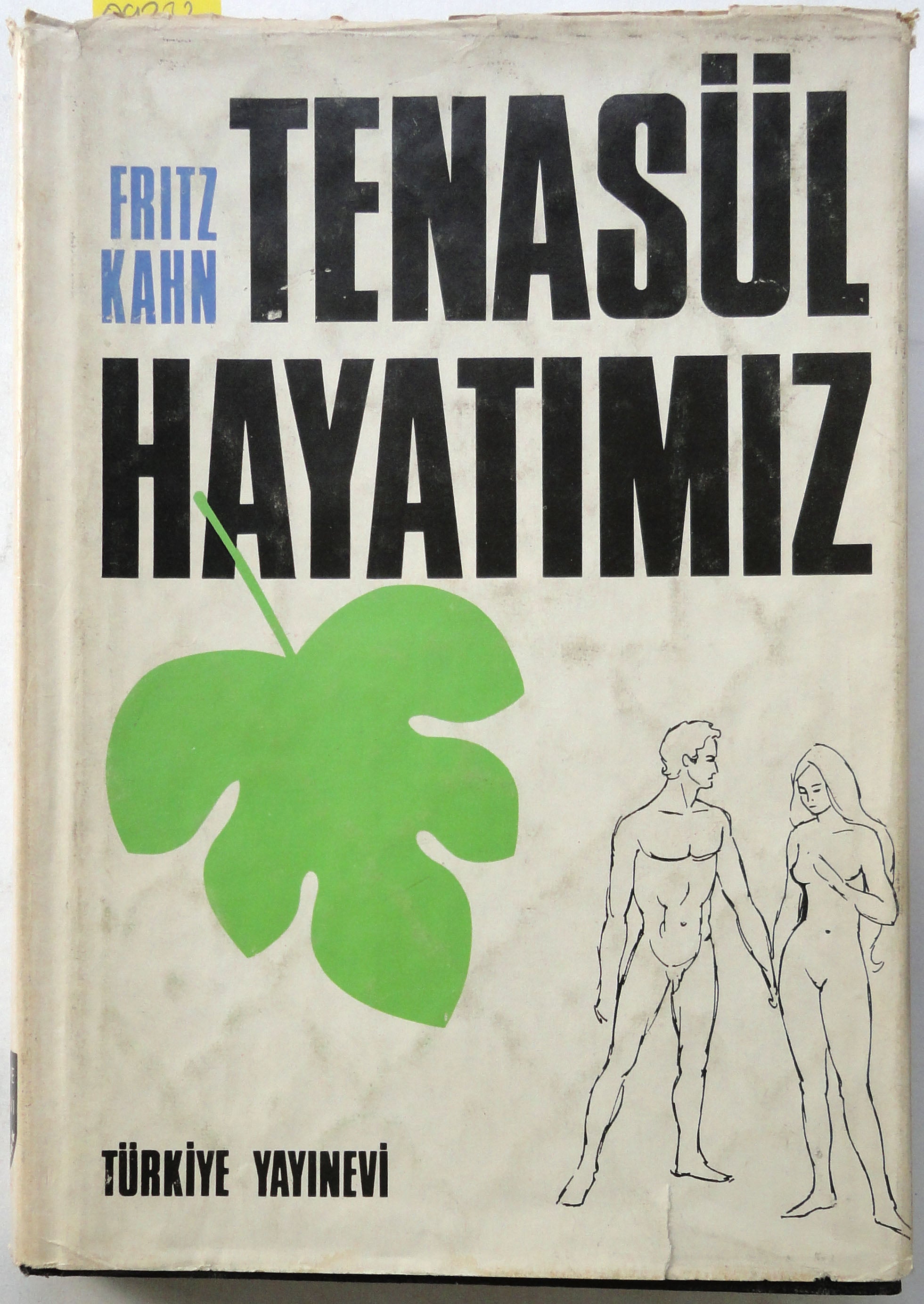 Tenasül Hayatımız