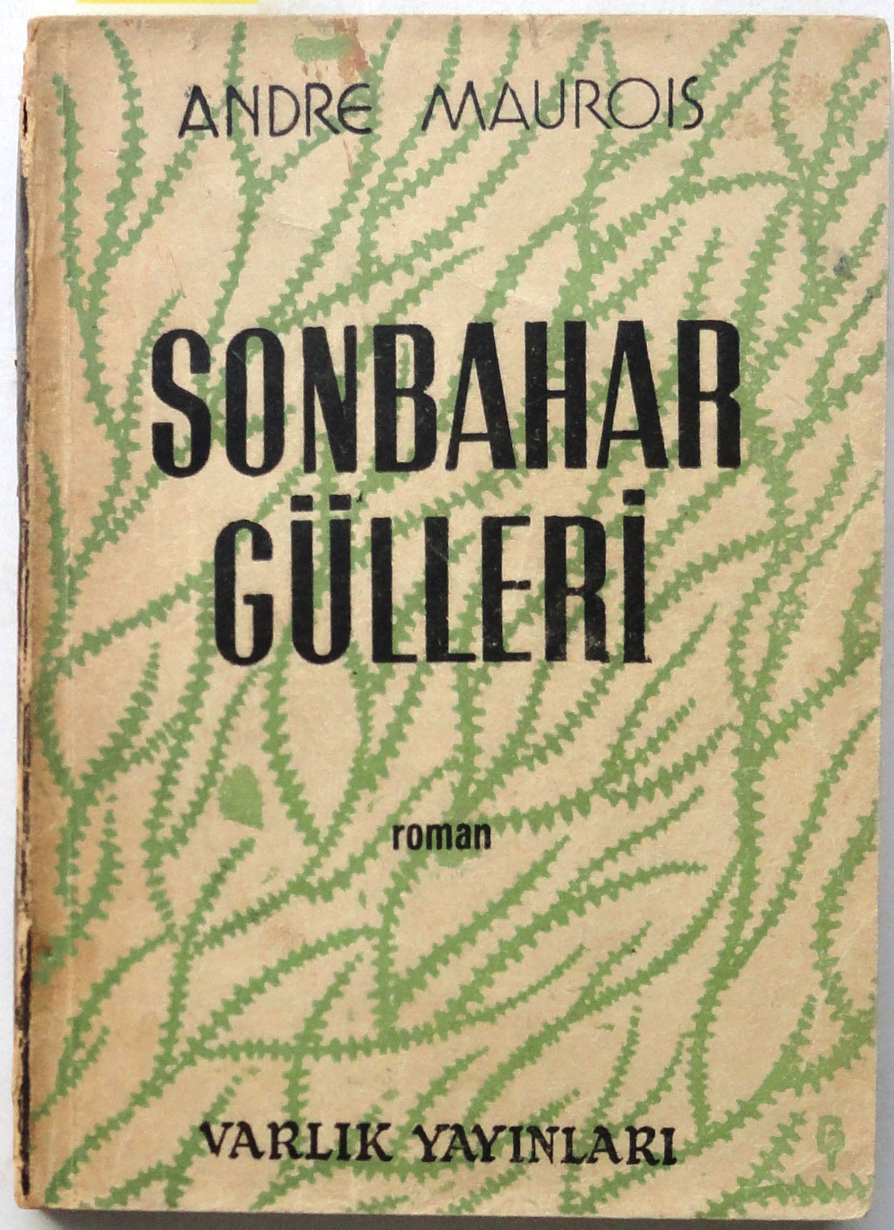 Sonbahar Gülleri