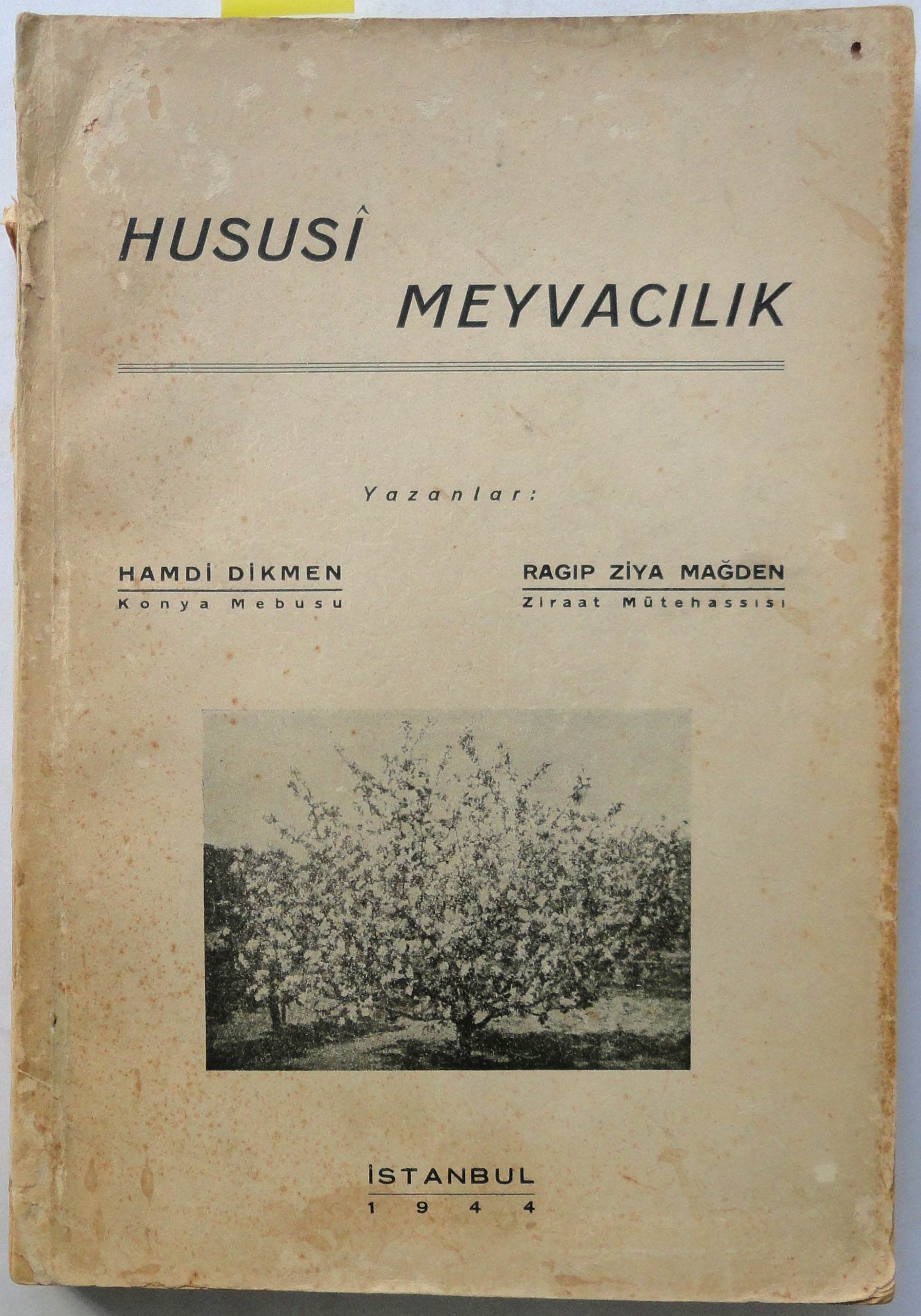 Hususi Meyvacılık