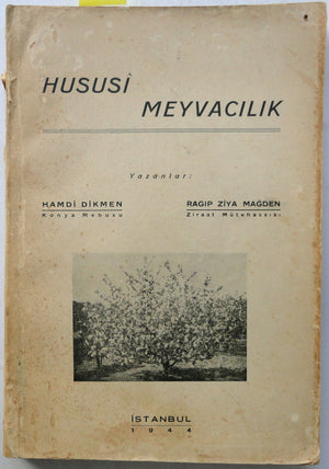 Hususi Meyvacılık