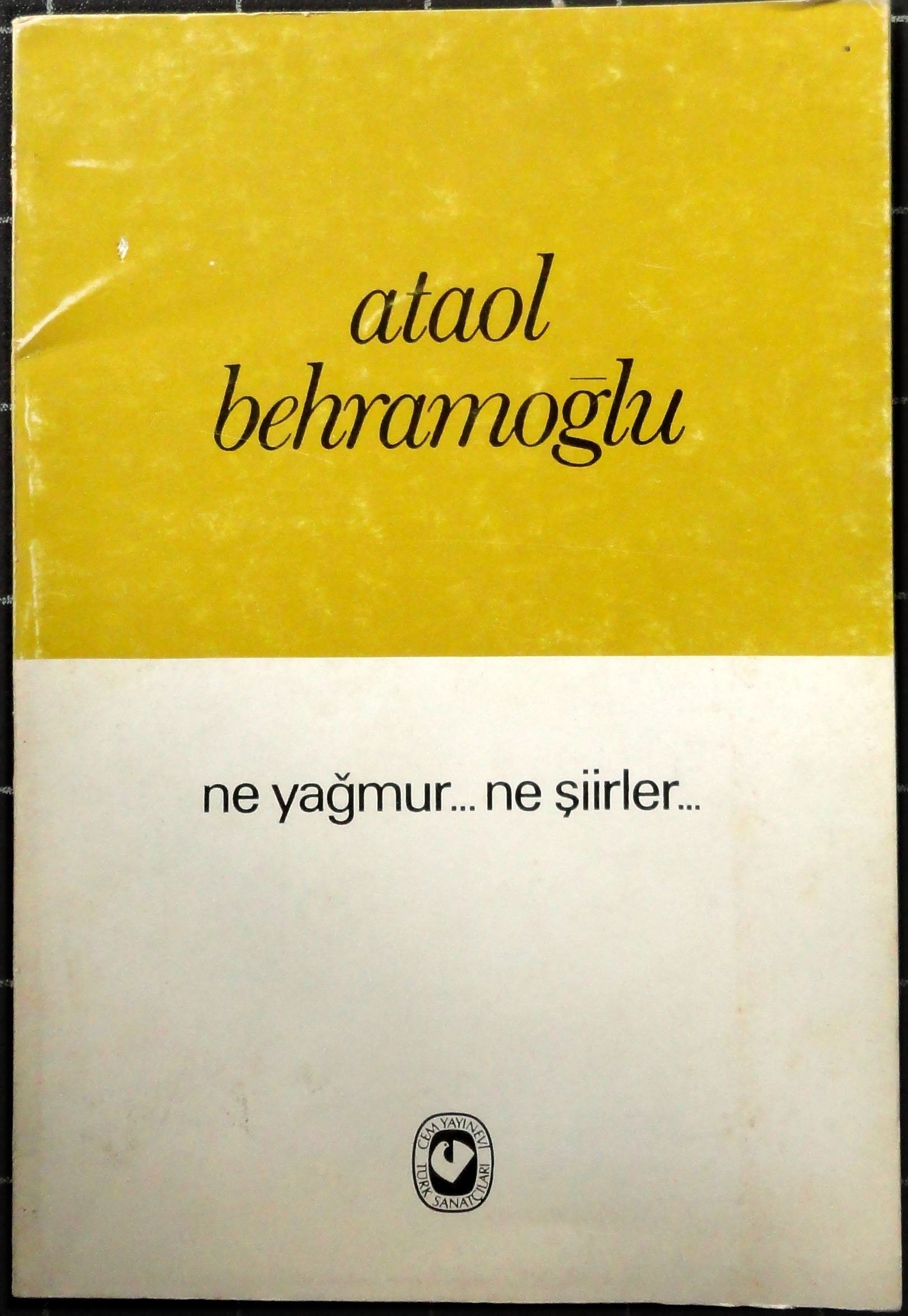 Ne Yağmur Ne Şiir