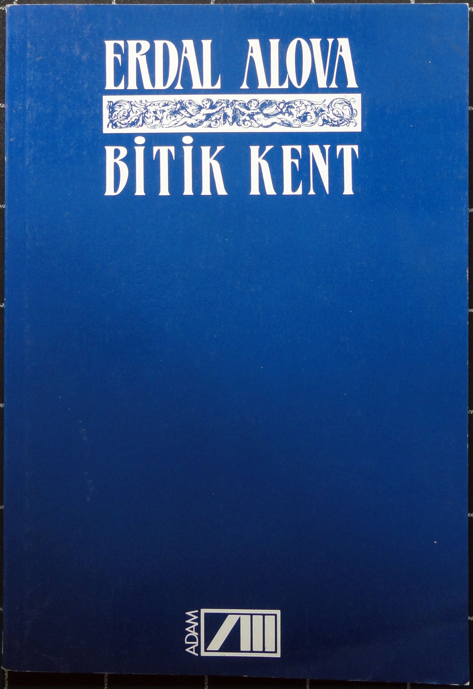 Bitik Kent Şiir