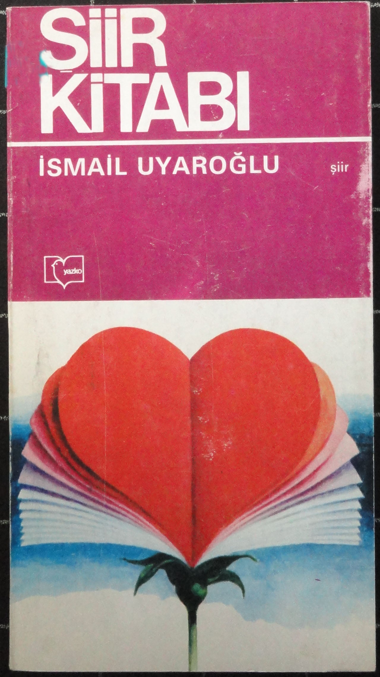 Şiir Kitabı