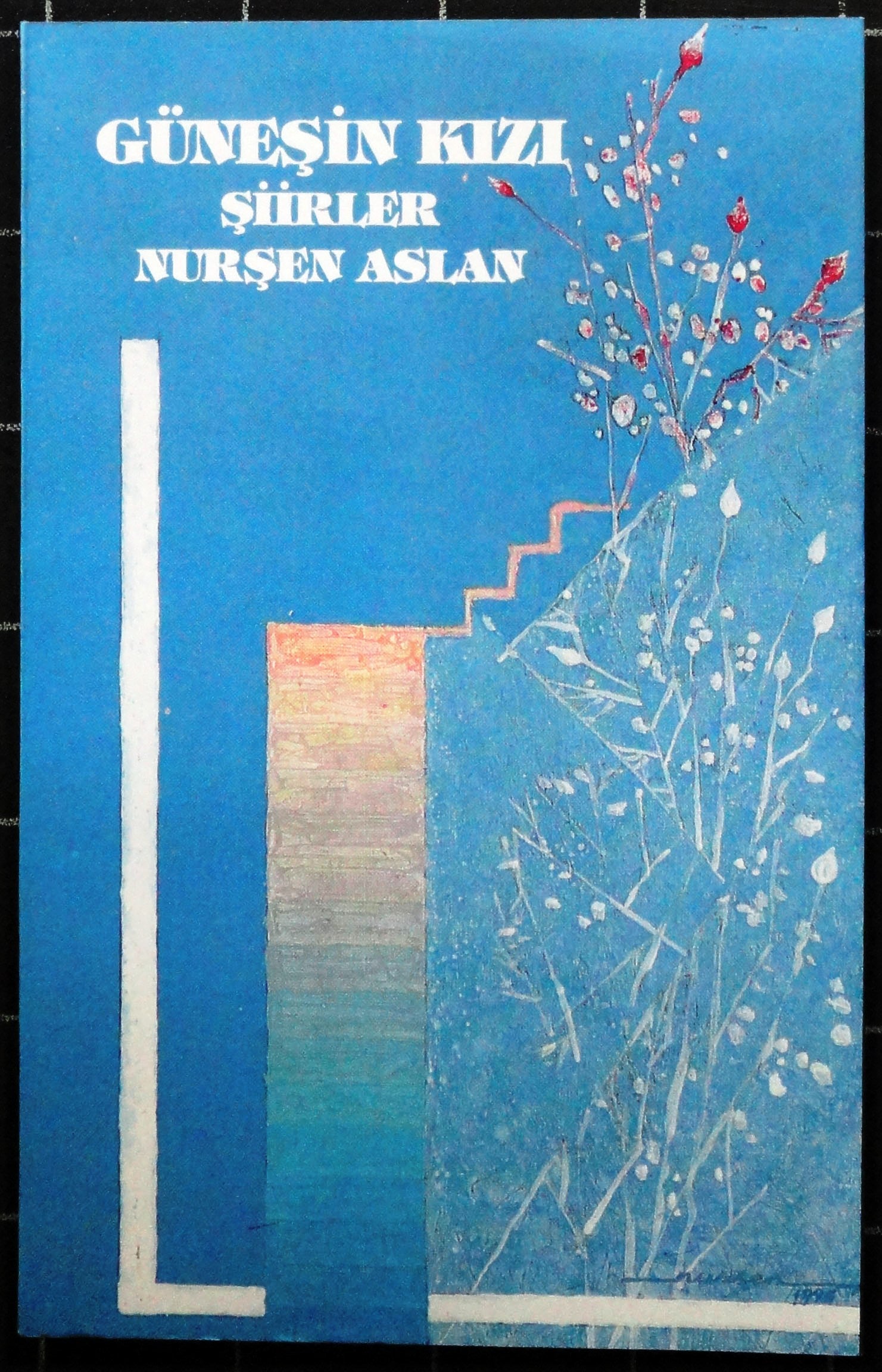 Güneşin Kızı<br>Şiirler
