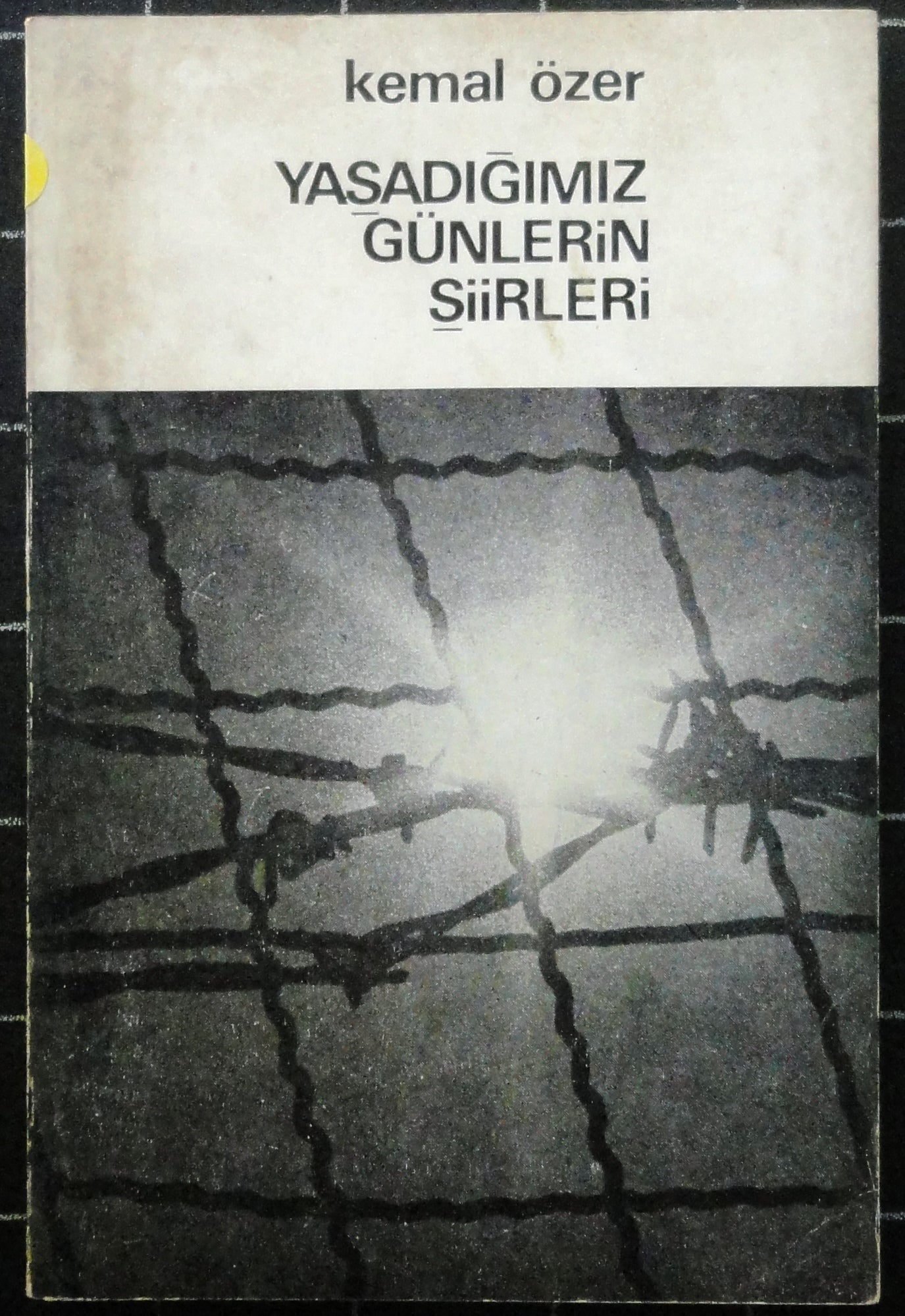 Yaşadığımız Günlerin Şiirleri