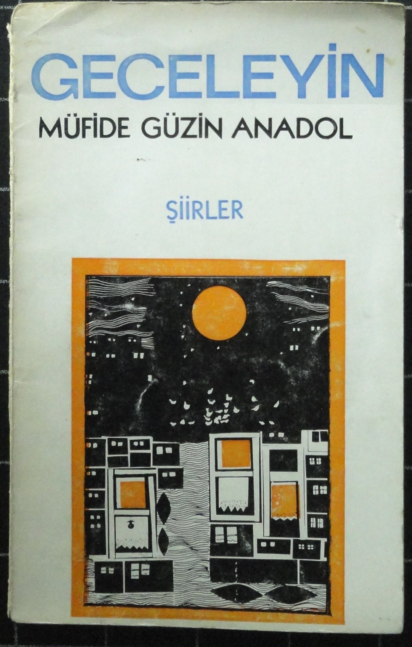 Geceleyin<br> Şiirler