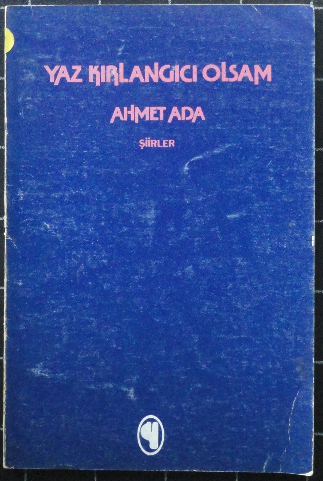Yaz Kırlangıcı Olsam