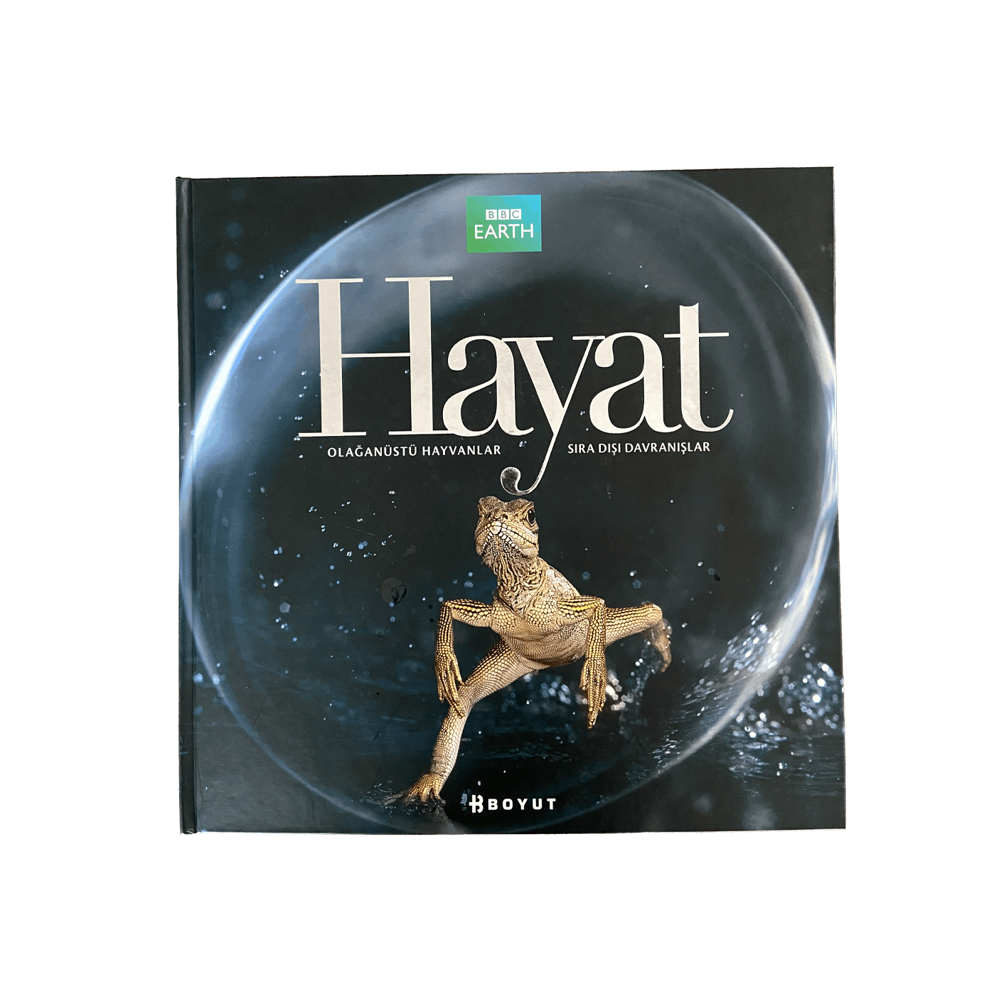 Hayat