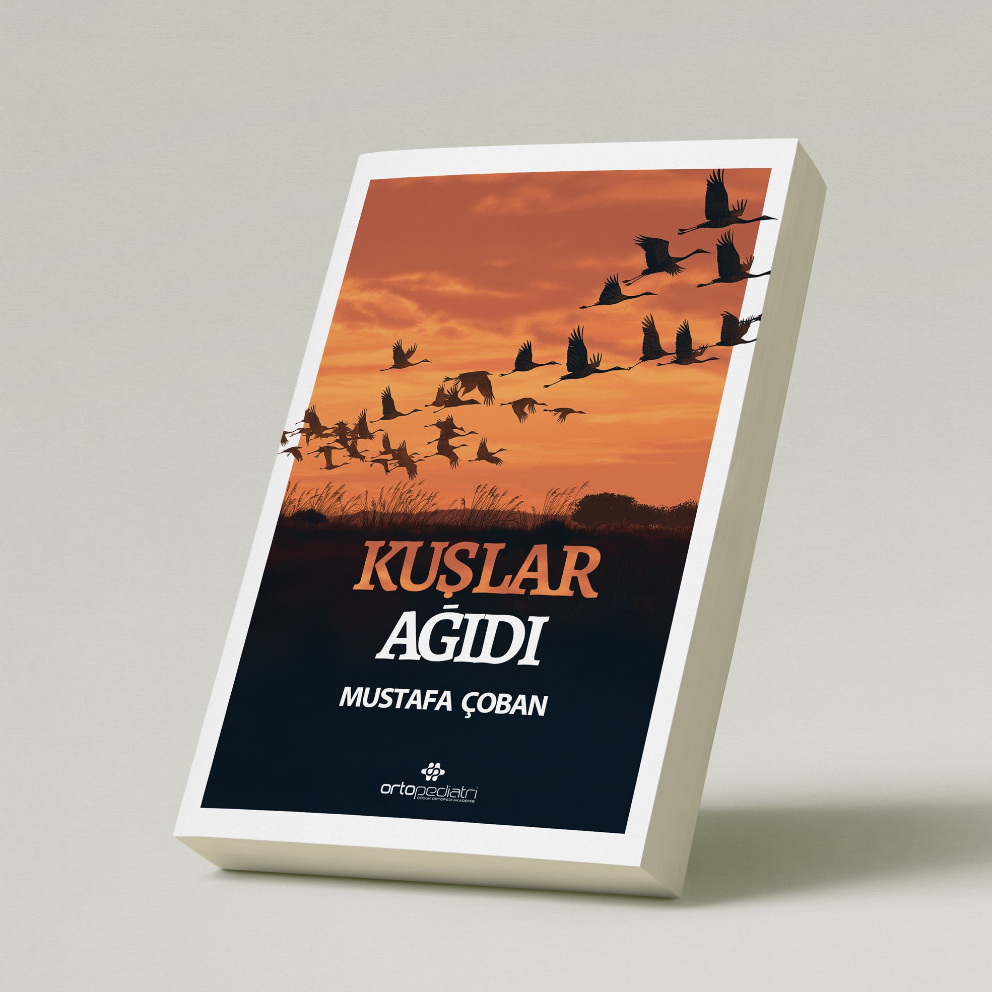 Kuşlar Ağıdı