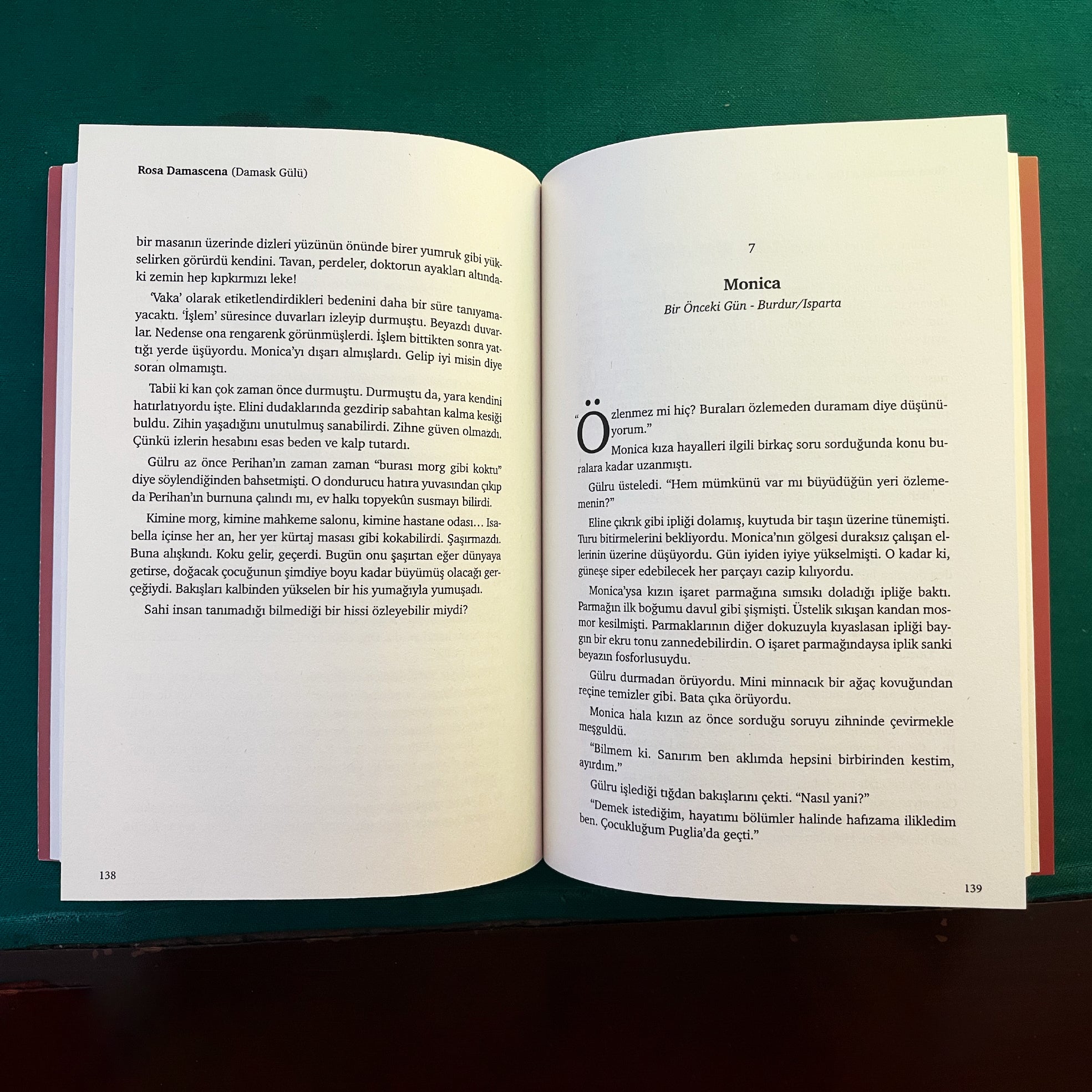 Rosa Damascena (Damask Gülü)